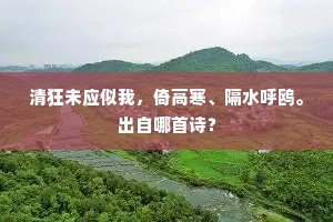 清狂未应似我，倚高寒、隔水呼鸥。出自哪首诗？