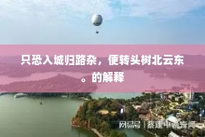 只恐入城归路杂，便转头树北云东。的解释