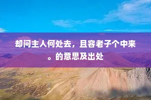 却问主人何处去，且容老子个中来。的意思及出处