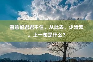雪意留君君不住,从此去,少清欢。上一句是什么? 雪意留君君不住,从此去,少清欢。上一句是什么?