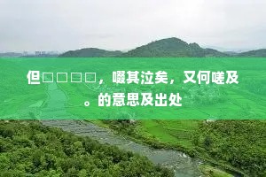 但□□□□，啜其泣矣，又何嗟及。的意思及出处