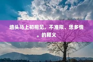 墙头马上初相见，不准拟、恁多情。的释义