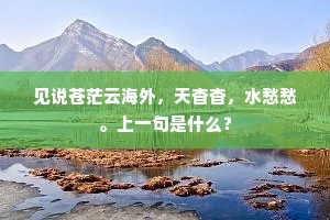 见说苍茫云海外，天杳杳，水愁愁。上一句是什么？