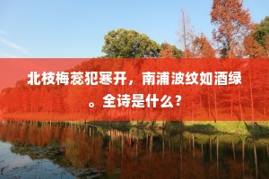 北枝梅蕊犯寒开，南浦波纹如酒绿。全诗是什么？