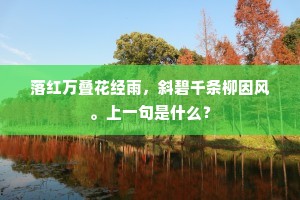 落红万叠花经雨，斜碧千条柳因风。上一句是什么？