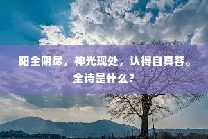 阳全阴尽，神光现处，认得自真容。全诗是什么？