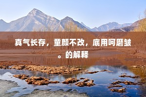 真气长存，童颜不改，底用呵磨皱。的解释