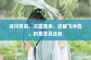 试问霞翁，三田熟未，还解飞冲否。的意思及出处