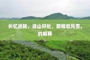 长忆追随，湖山好处，醉帽欹风雪。的解释