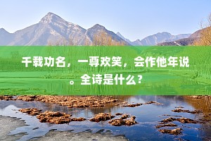千载功名，一尊欢笑，会作他年说。全诗是什么？