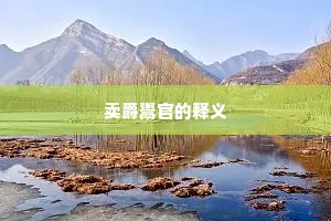 卖爵鬻官的释义