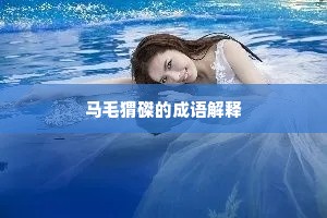 马毛猬磔的成语解释