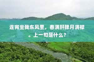 连宵坐我东风里，春满肝脾月满襟。上一句是什么？
