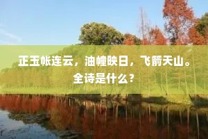 正玉帐连云，油幢映日，飞箭天山。全诗是什么？