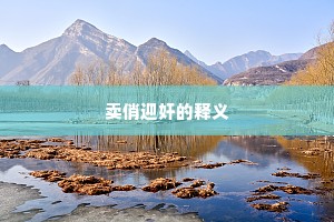 卖俏迎奸的释义