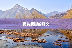 卖头卖脚的释义