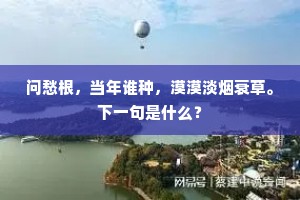 问愁根，当年谁种，漠漠淡烟衰草。下一句是什么？