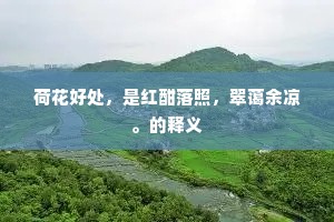 荷花好处，是红酣落照，翠蔼余凉。的释义