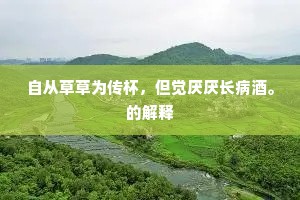 自从草草为传杯，但觉厌厌长病酒。的解释