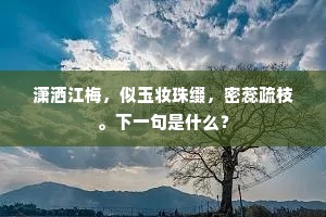 潇洒江梅，似玉妆珠缀，密蕊疏枝。下一句是什么？