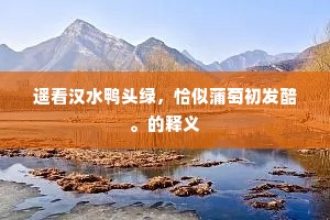 遥看汉水鸭头绿，恰似蒲萄初发醅。的释义
