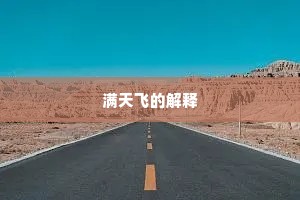 满天飞的解释