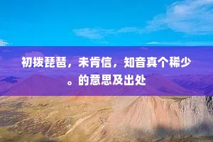初拨琵琶，未肯信，知音真个稀少。的意思及出处