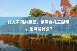 佳人不用辟寒犀，踏雪穿花云鬓重。全诗是什么？