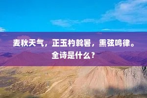 麦秋天气，正玉杓斡暑，熏弦鸣律。全诗是什么？