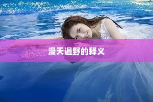 漫天遍野的释义