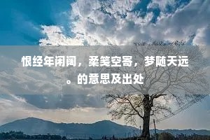 恨经年闲阔，柔笺空寄，梦随天远。的意思及出处