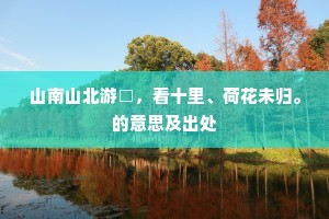 山南山北游□，看十里、荷花未归。的意思及出处