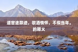 道宦途踪迹，歌酒情怀，不似当年。的释义
