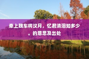 牵上魏车将汉月，忆君清泪知多少。的意思及出处