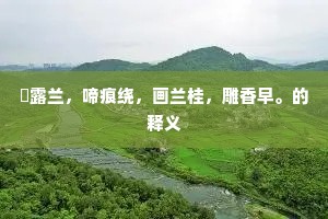 浥露兰，啼痕绕，画兰桂，雕香早。的释义