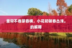 重帘不卷篆香横,小花初破春丛浅。的解释 重帘不卷篆香横,小花初破春丛浅。的解释