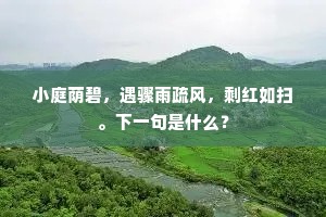 小庭荫碧，遇骤雨疏风，剩红如扫。下一句是什么？