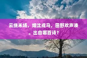 云绕禾场，烽沈戎马，田野欢声凑。出自哪首诗？