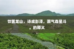 饮罢龙山，诗成彭泽，灏气森星斗。的释义