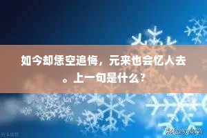 如今却恁空追悔，元来也会忆人去。上一句是什么？