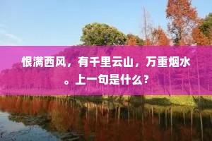 恨满西风,有千里云山,万重烟水。上一句是什么? 恨满西风,有千里云山,万重烟水。上一句是什么?