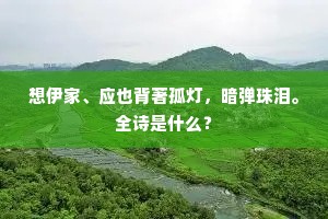 想伊家、应也背著孤灯，暗弹珠泪。全诗是什么？