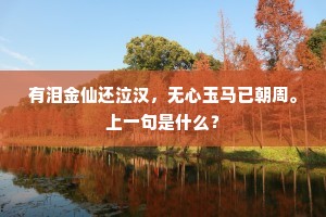 有泪金仙还泣汉，无心玉马已朝周。上一句是什么？