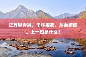 正万里青冥，千林虚籁，从渠缯缴。上一句是什么？