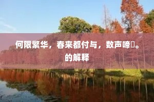 何限繁华，春来都付与，数声啼鴂。的解释