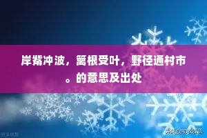 岸觜冲波，篱根受叶，野径通村市。的意思及出处