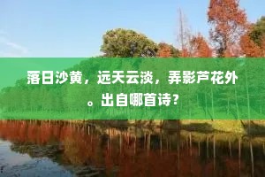 落日沙黄,远天云淡,弄影芦花外。出自哪首诗? 落日沙黄,远天云淡,弄影芦花外。出自哪首诗?
