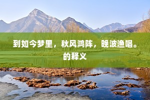 到如今梦里，秋风鸿阵，晚波渔唱。的释义
