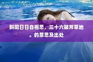 斜阳日日自相思，三十六陂芳草地。的意思及出处