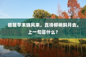 暗随苹末晓风来，直待柳梢斜月去。上一句是什么？